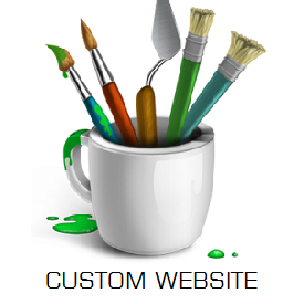 Custom website designing in Jaipur
