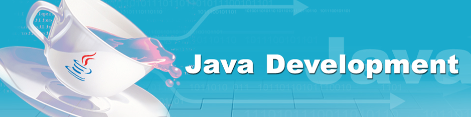 java web development company in India
