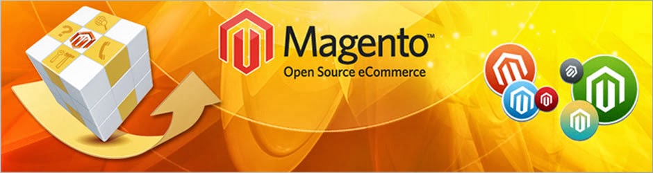 Magento Web Development Company in India