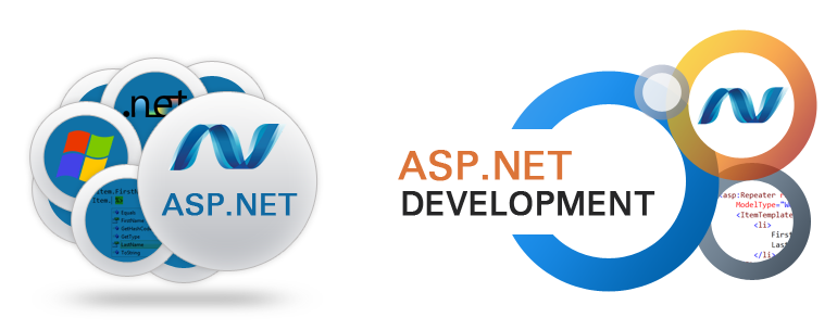 web development company in India