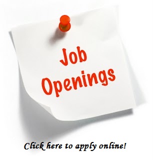 Apply for job in Jaipur