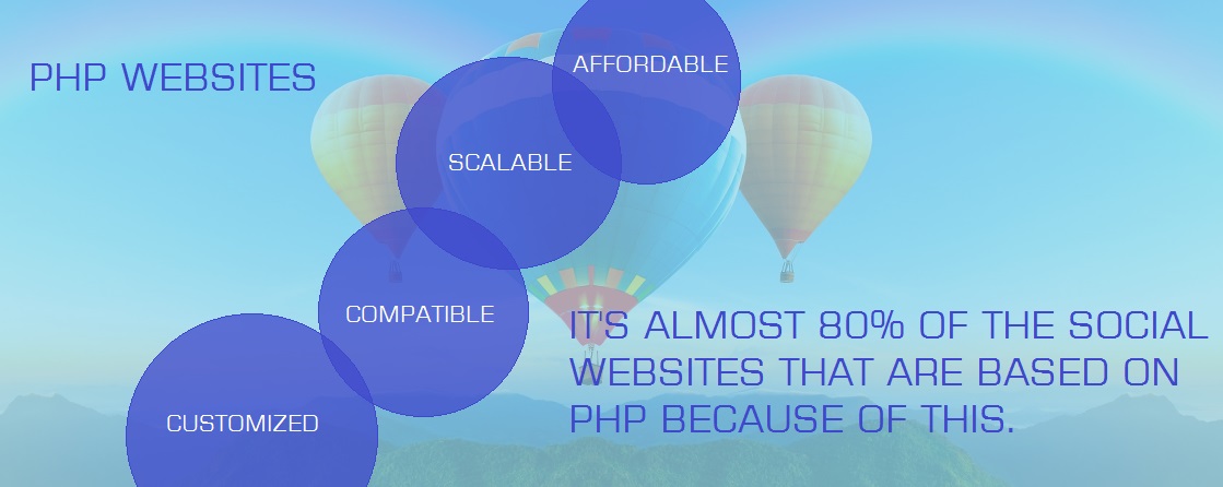 Professional website development in Jaipur