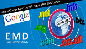 Google-EMD-SEO-update-Thoughtfulminds