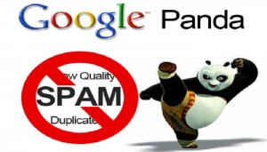 Google-Panda-SEO-update-Thoughtfulminds