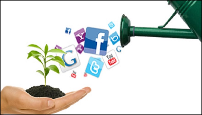 Digital marketing for business growth-ThoughtfulMinds