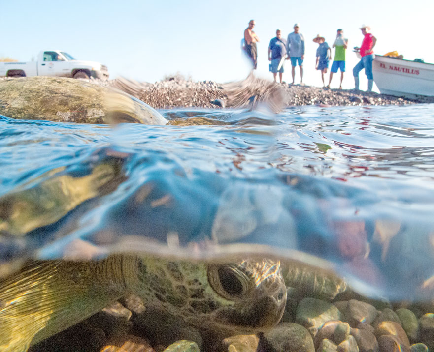 Baja California, Mexico