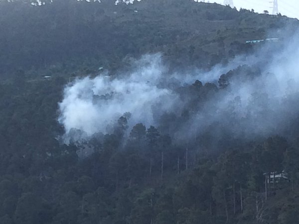 Forest on Fires Sarmoli