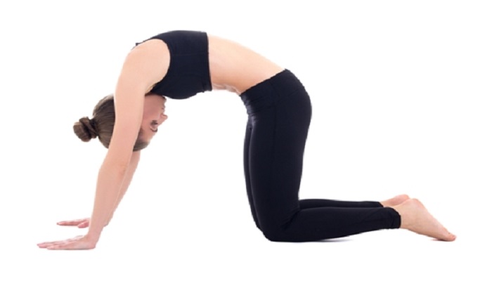 Bidalasana-ThoughtfulMinds