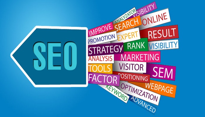 SEO services results-ThoughtfulMinds