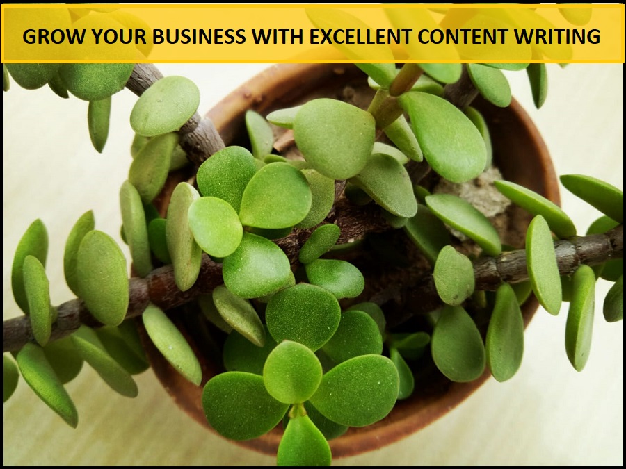 Grow Your Business With Excellent Content Writing Services - Header - ThoughtfulMinds