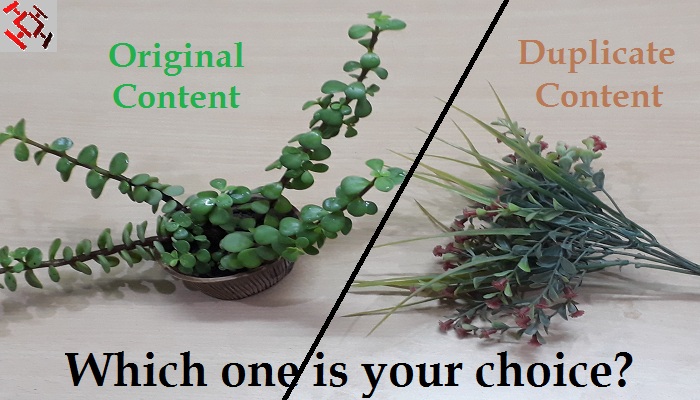 original content vs duplicate content-ThoughtfulMinds