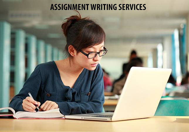 assignment writing services