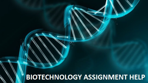 Biotechnology Assignment Help