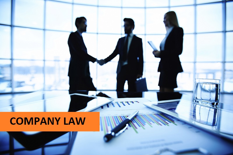 Company Law Assignment Help