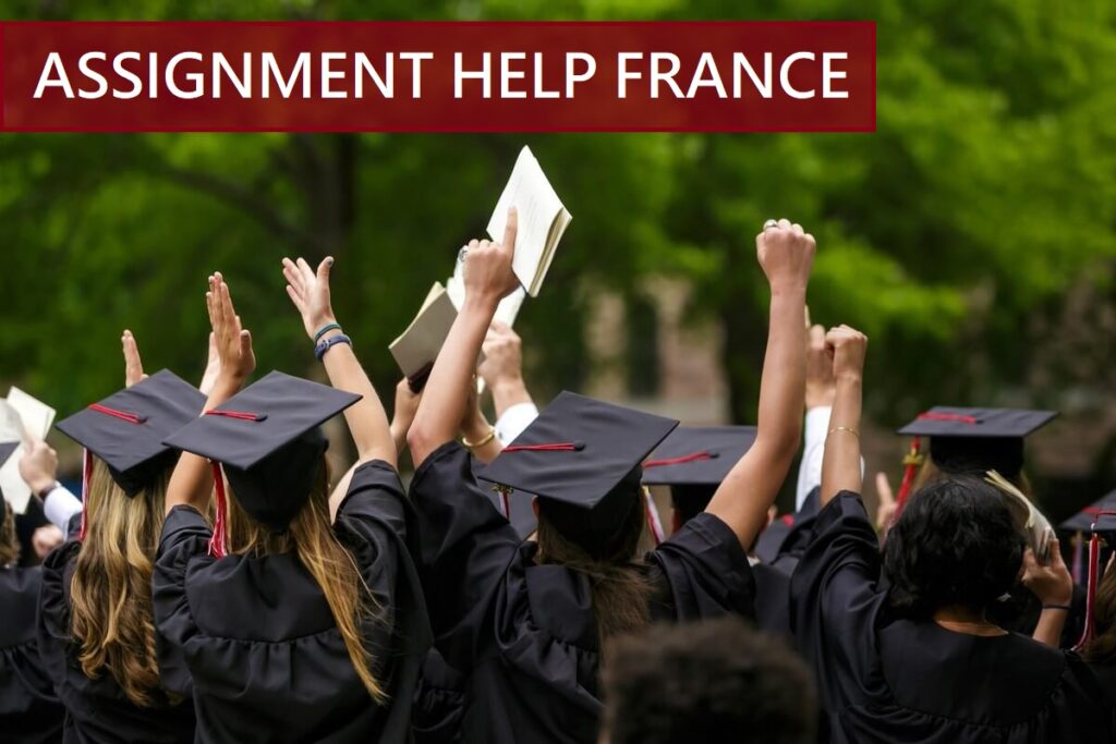 Assignment Help France