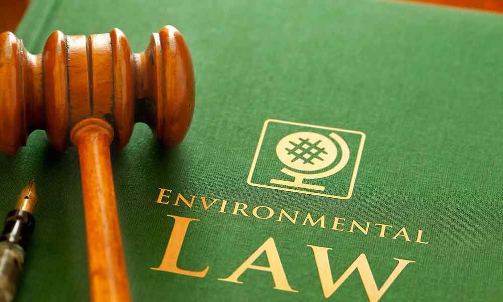 Environmental Law Assignment Help