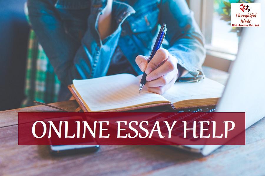 Essay Help