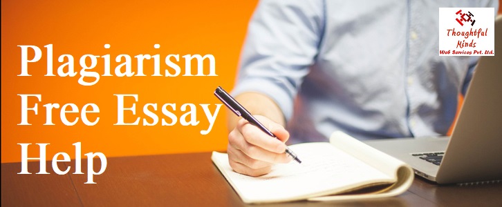 Plagiarism Free Essay