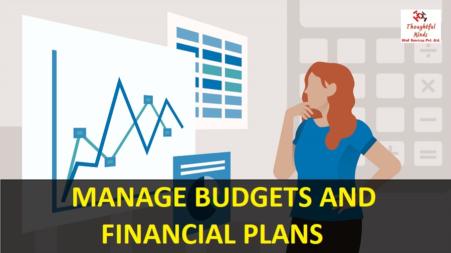 Manage Budgets And Financial Plans