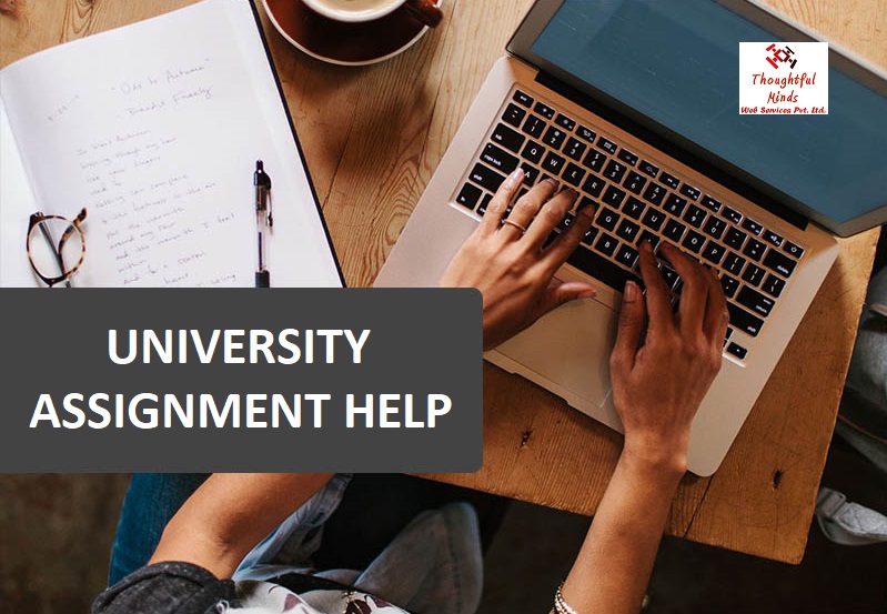 University Assignment Help