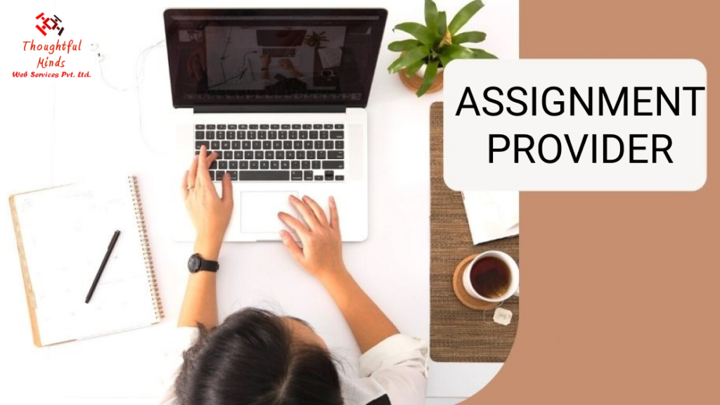 Assignment Provider